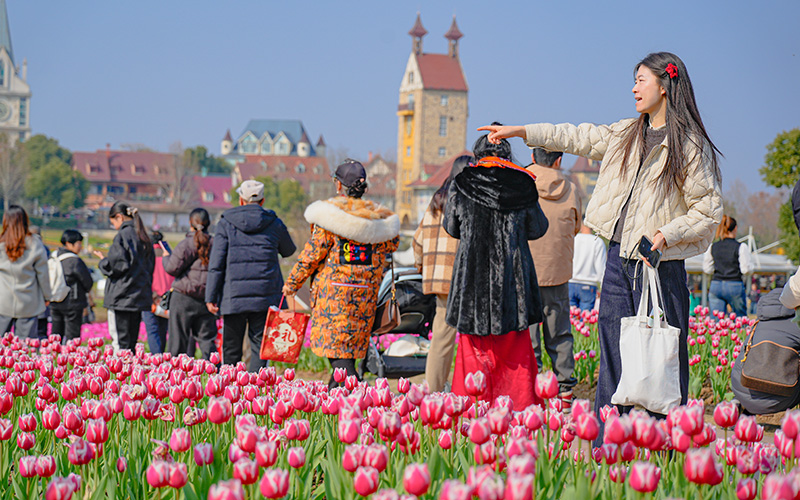 武汉花博会郁金香盛开。黄婷摄