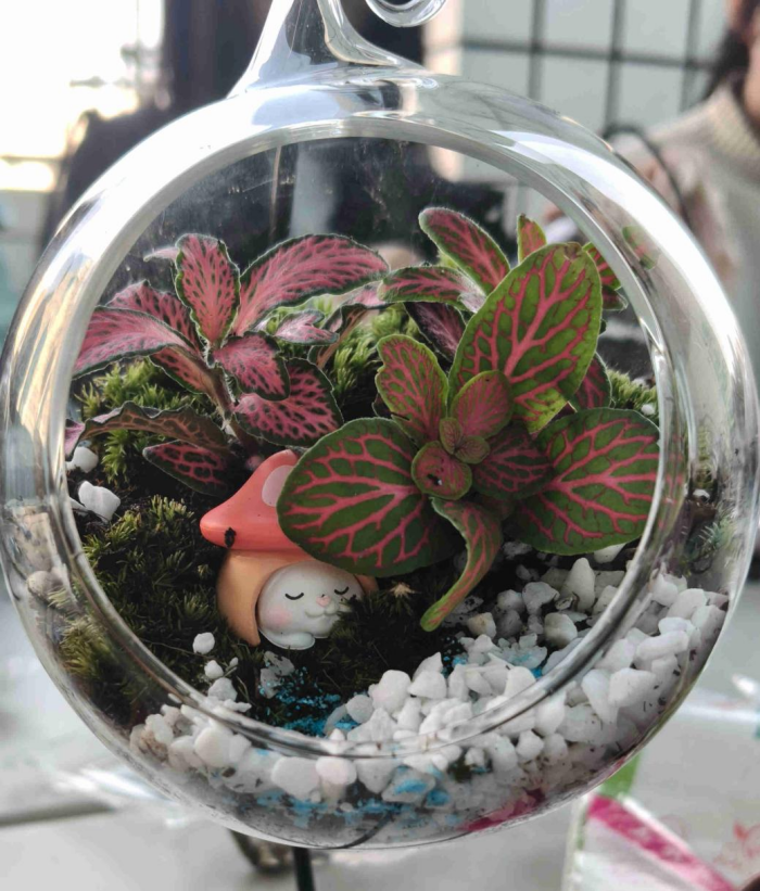 微景觀DIY作品。學校供圖