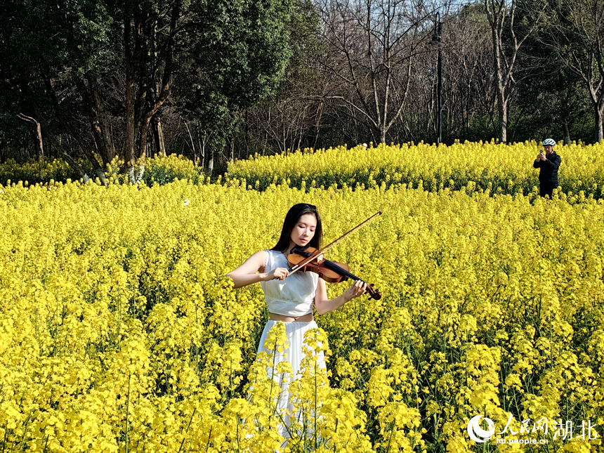 游人在花田中演奏。