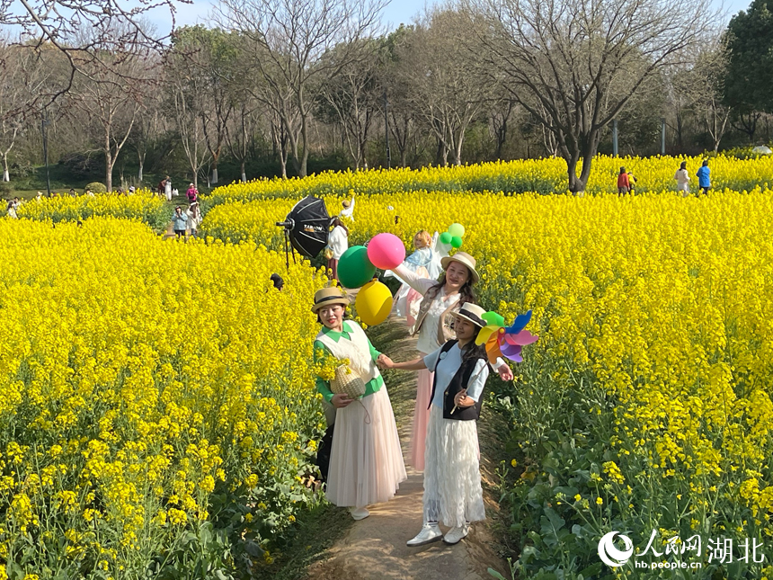 游人在油菜花田中拍照。