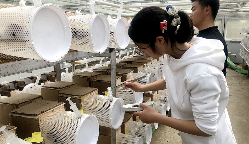 湖北郧阳：600农户养蜂增收【3】