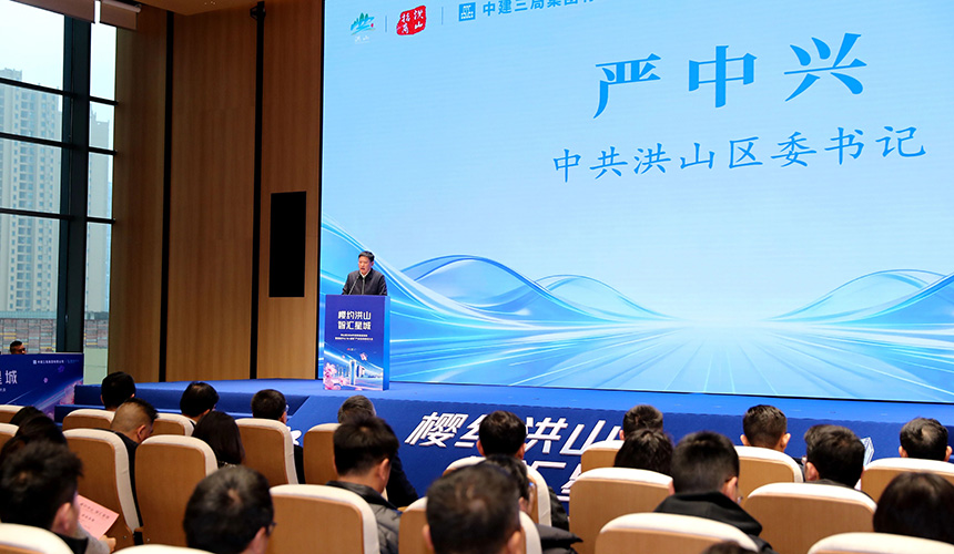 武汉洪山区举办2026年投资促进活动【2】