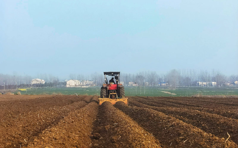 枣阳烟区起垄场景 高传奇拍摄
