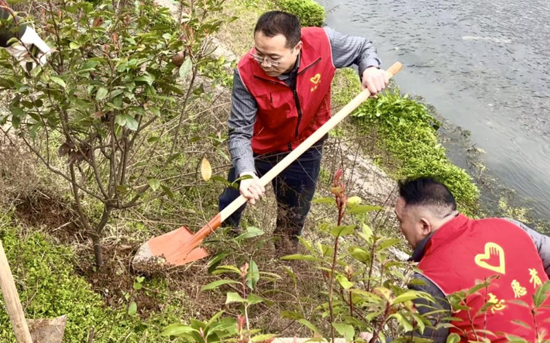 咸安区烟草专卖局志愿者在万寿桥村开展义务植树活动