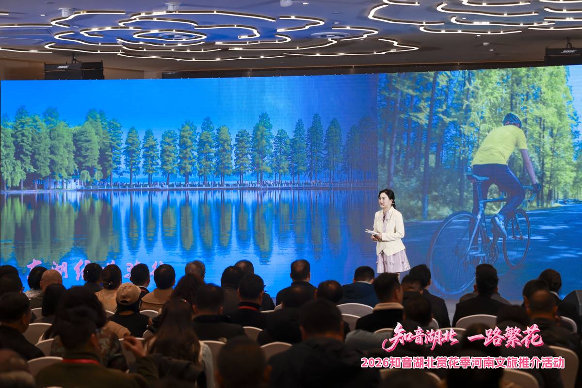 推介活动现场。