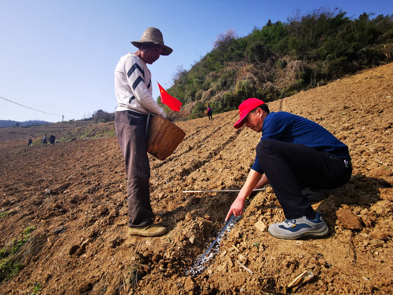 技术人员开展“精准化服务”。龚铭铭摄
