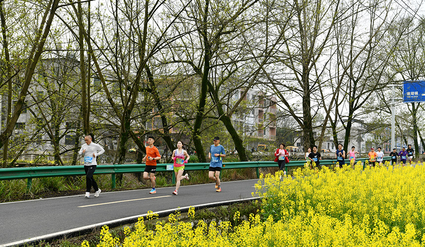 湖北通城：花開助農 “香約”塘湖 奏響農旅融合歌【5】