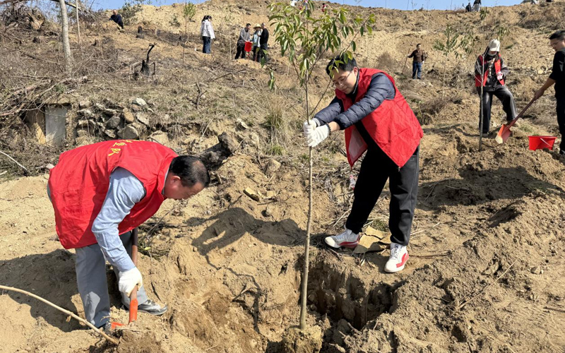 志願服務隊植樹。姚娜攝