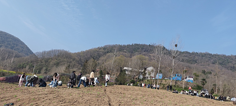 學生正在田間“上課”。