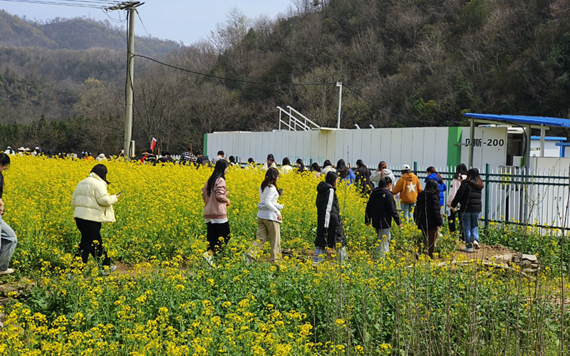 學生走在田間路上。