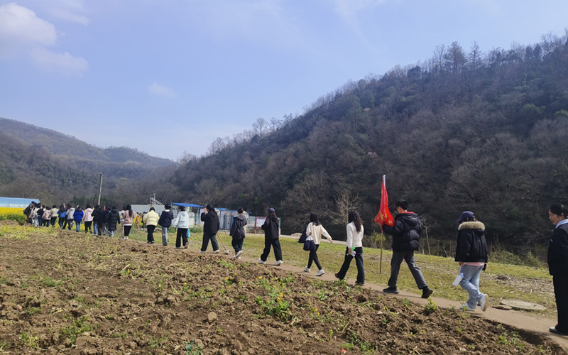 學生走在田間路上。