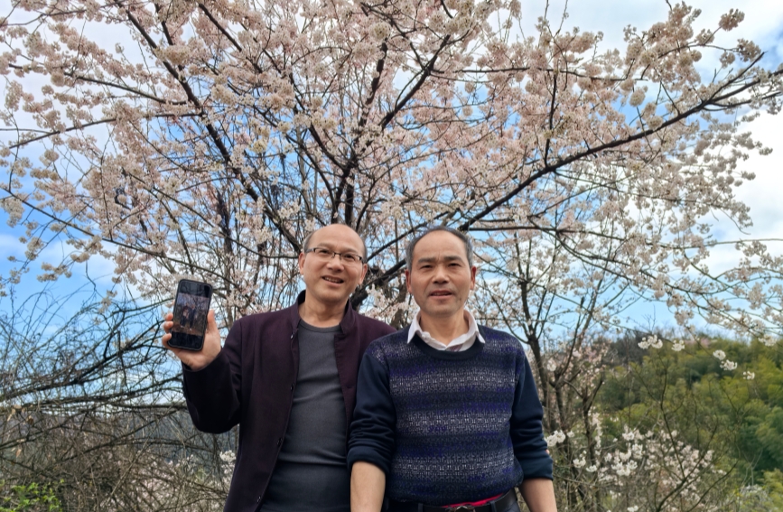 花漾经济涌春潮【2】