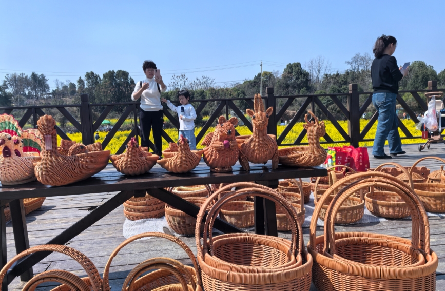 花漾经济涌春潮【5】