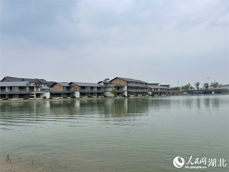 平静的湖面。人民网记者 周倩文摄