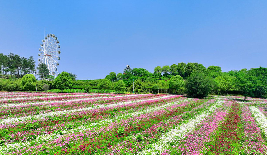 武汉黄陂：“文旅+N”激活传统景区新动能