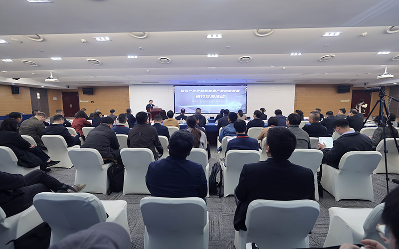 研讨交流活动现场