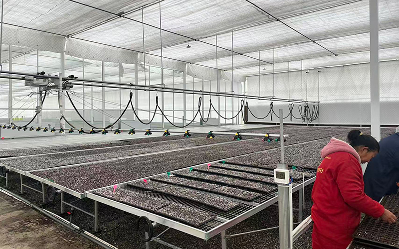 潮汐苗床正在作業。李茵攝