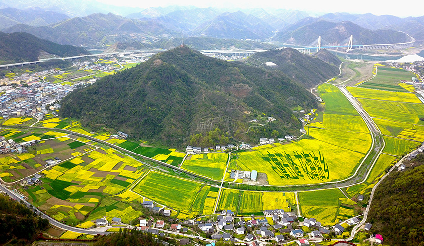 湖北郧阳：油菜花海享春光 农旅融合促增收【2】