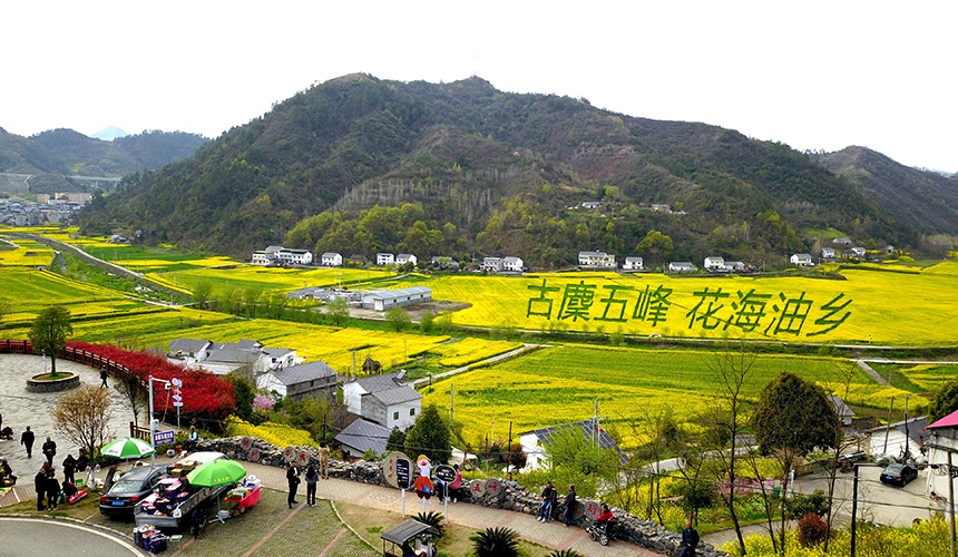 湖北郧阳：油菜花海享春光 农旅融合促增收【5】