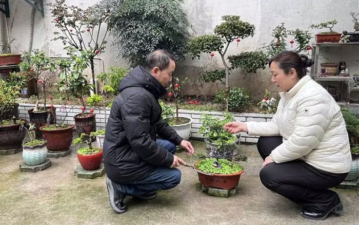 客户经理引导零售户增加花卉销售业务。张姮摄