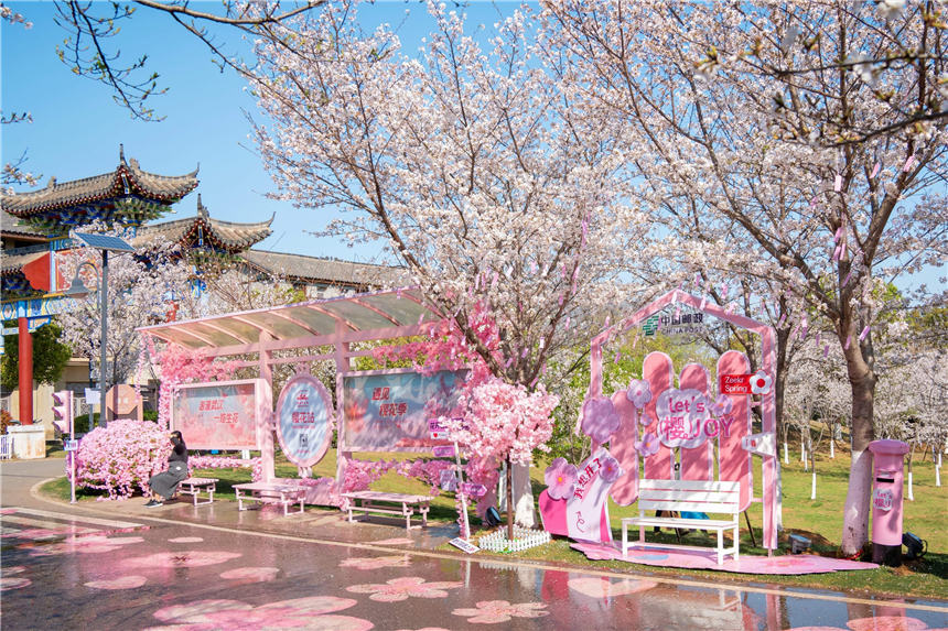花博汇樱花村。