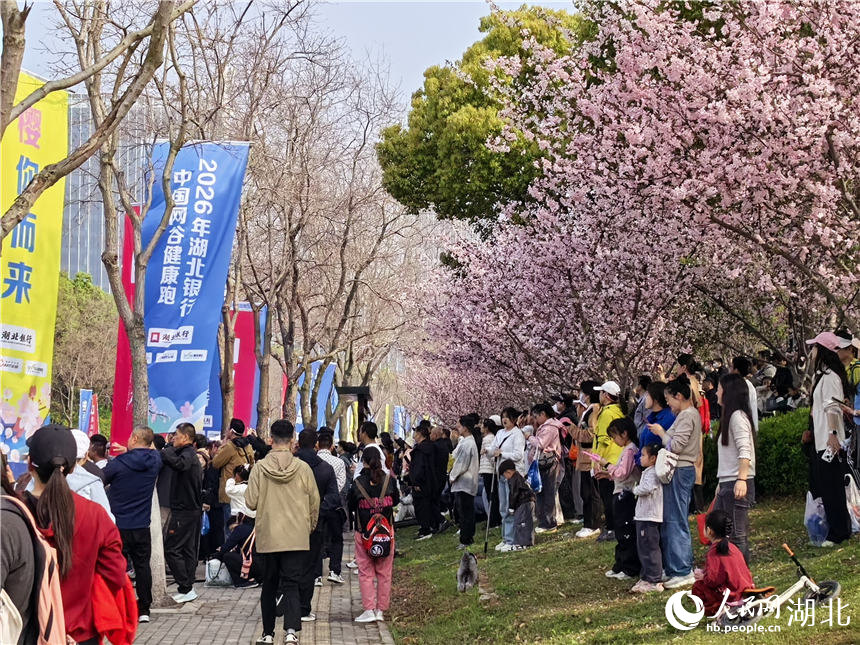市民在樱花树下观赛。人民网记者 周雯摄