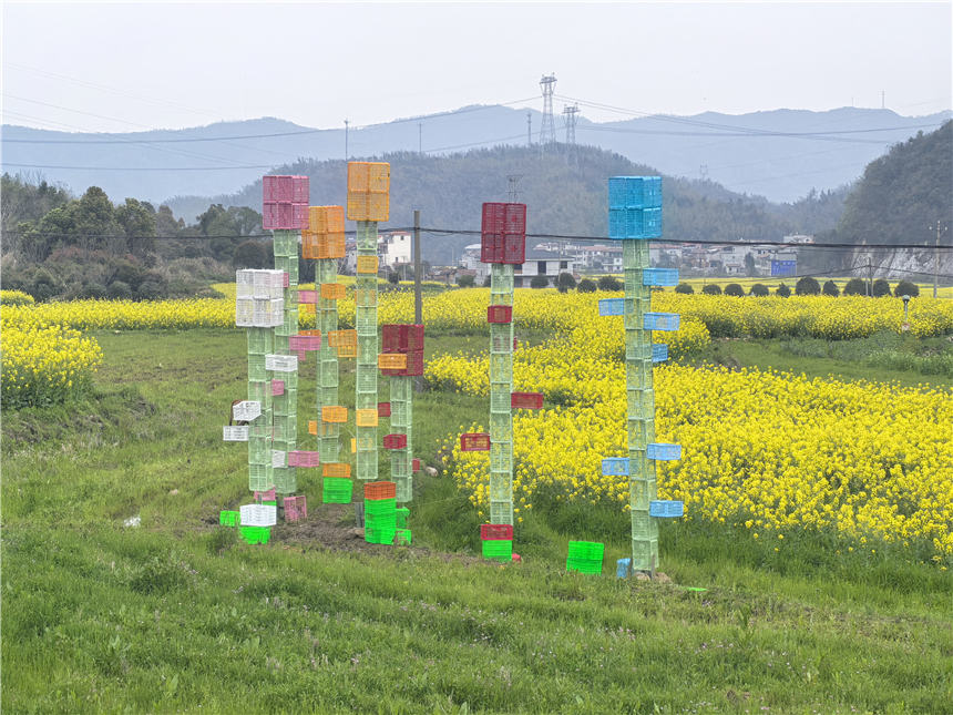 湖北咸安：花海艺术入春来【3】