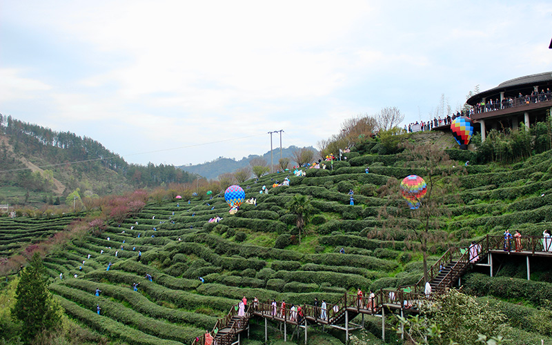 湖北竹山茶旅文化月启幕。人民网记者 张沛摄