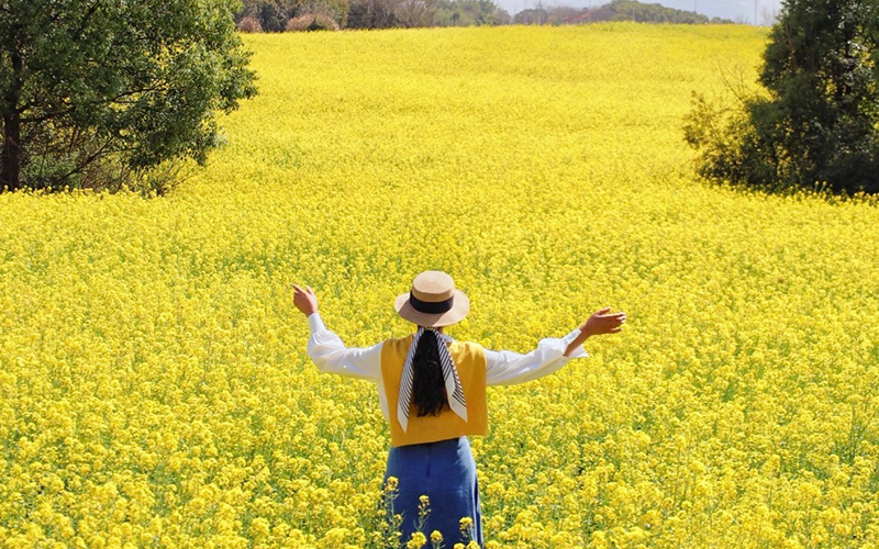江夏梁子湖