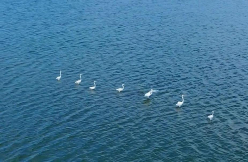 湖北武山湖美景。陈巨良摄