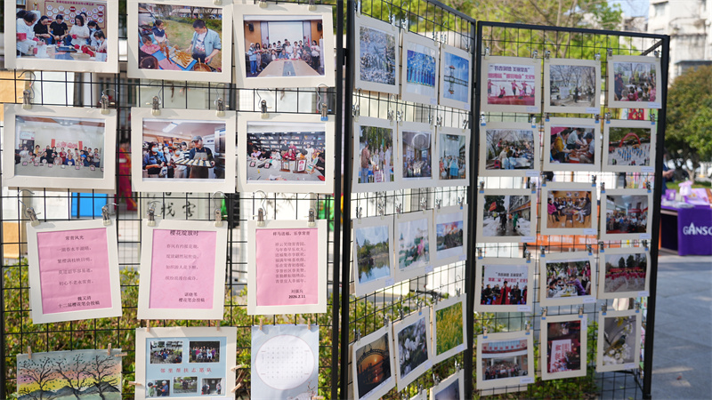 樱花笔会现场展出的居民优秀的诗词作品。易晨凤摄