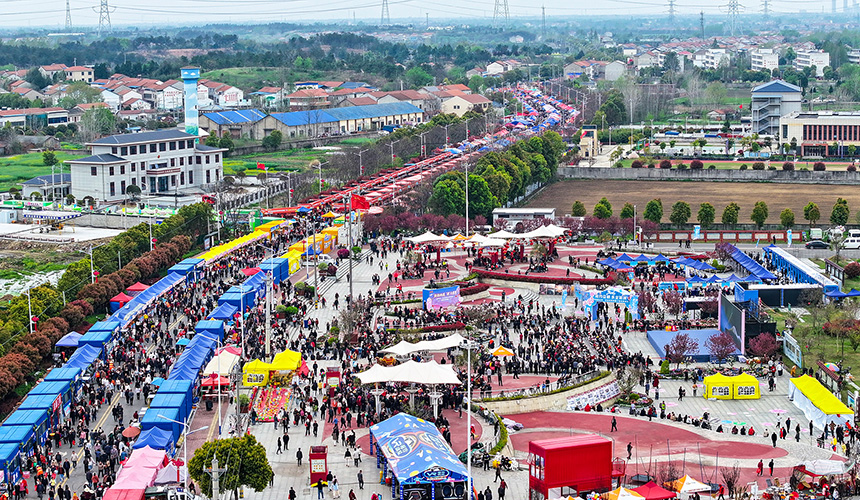 武汉新洲花朝推广季举行