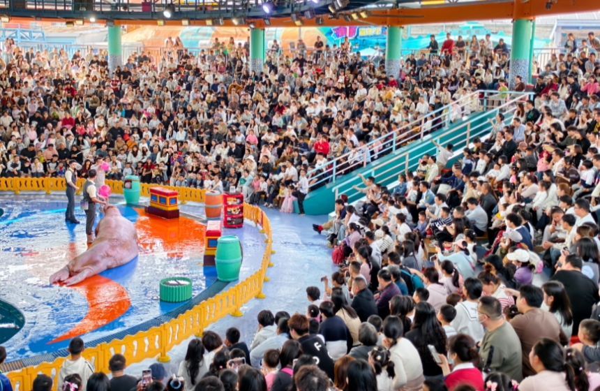 武汉极地海洋度假区盛大开启的“国潮狂欢节”已成为广大游客的热门目的地。