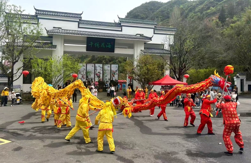 湖北竹山：百亩牡丹盛开 国风潮玩助力乡村游【2】
