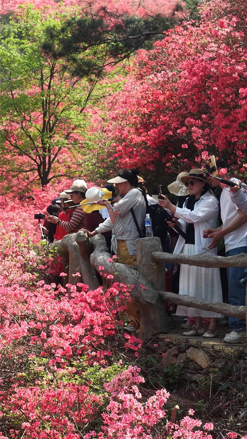 黄陂云雾山假期前两天接待游客共计5.7万余人，同比增长20%，其中外地游客占比约40%。