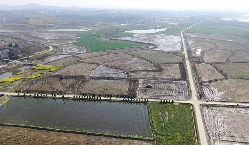 湖北浠水36万亩稻田机械化作业跑出“加速度”
