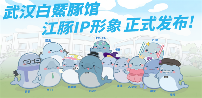 武汉白鱀豚保护基金会发布的江豚IP形象。