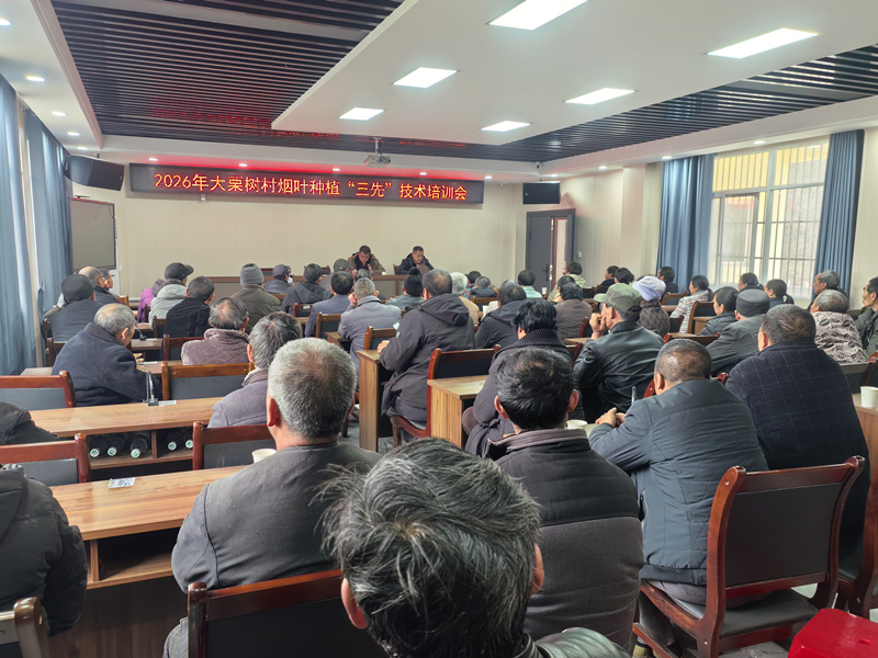 召开“三先”技术培训会