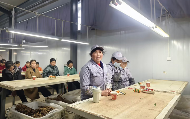 工人正在发表意见建议