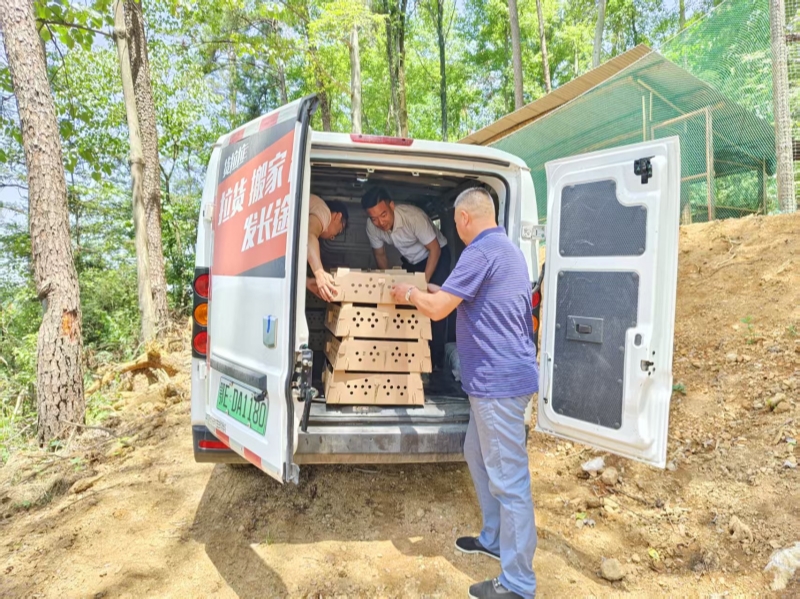 驻村工作队帮忙盘活闲置资源发展特色产业