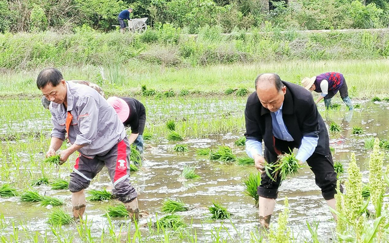 驻村工作队深入田间地头。