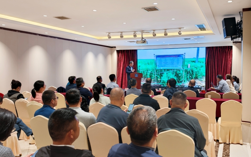 2026年武汉市油菜新品种现场观摩会现场。