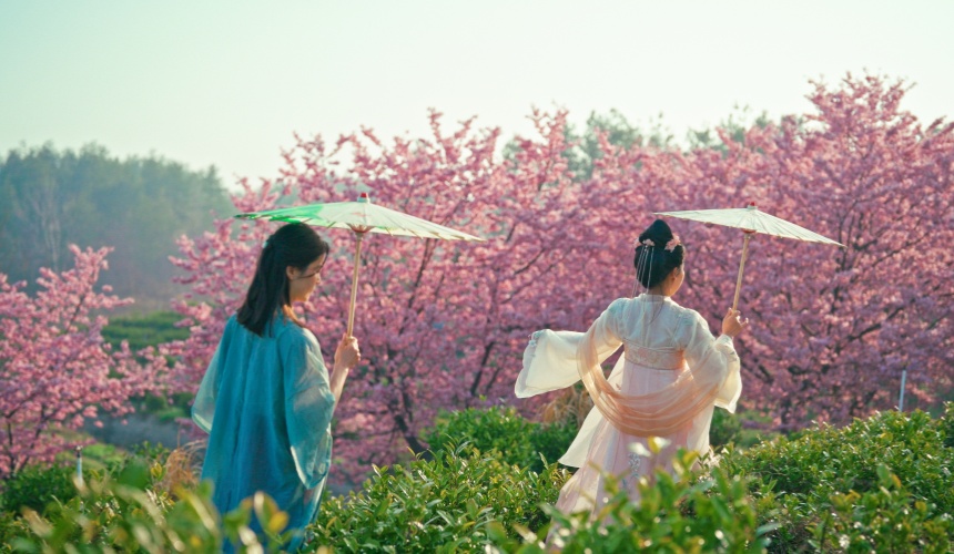武汉新洲：花朝故里一叶出【2】