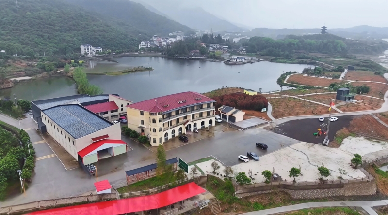 枇杷小鎮“煥新顏”。程思攝