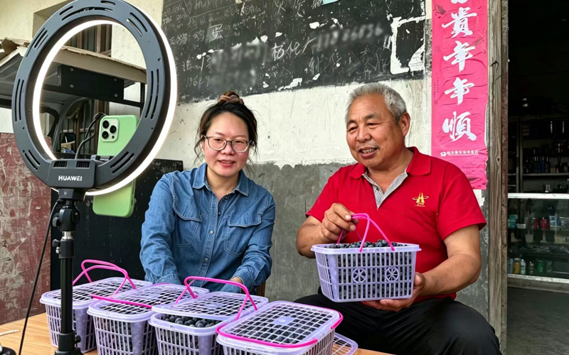 楊化林與客戶經理直播帶貨藍莓。王鈺婷攝
