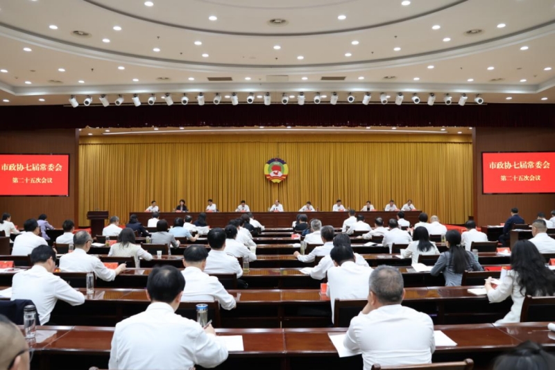 聚焦“滚动推进‘双百’工程 强力支撑主城崛起”协商建言。朱炜烨摄