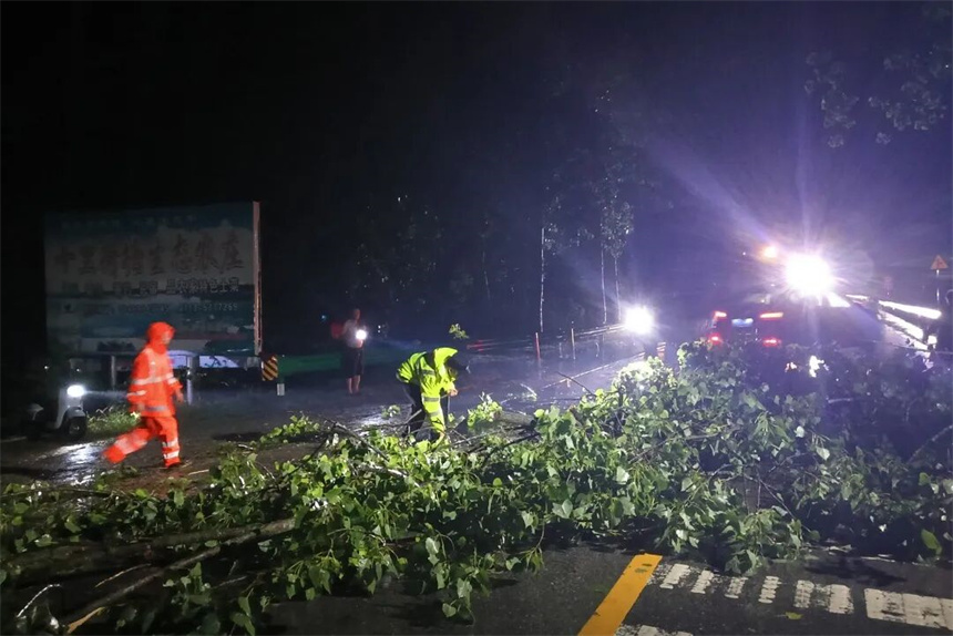 黄冈交警冒雨巡查国道省道，及时清除断木、标牌等路障。