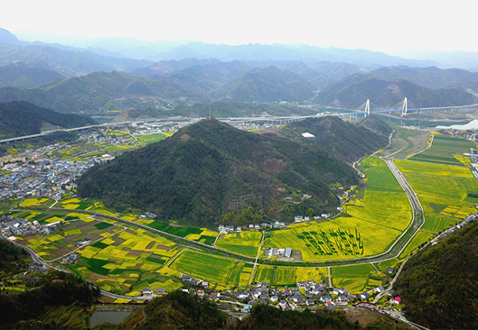 湖北鄖陽：油菜花海享春光 農旅融合促增收
連日來，隨著氣溫回升，湖北省十堰市鄖陽區五峰鄉的油菜花競相綻放，萬畝油菜花與遠山、近水、白牆、黛瓦相映成景，吸引眾多游人前來踏青賞花，樂享美好春光。