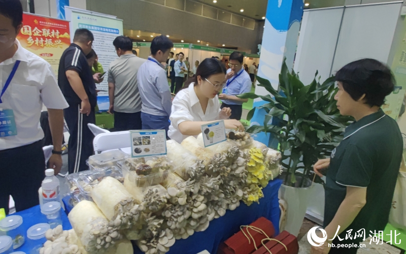 可在阳台上种植的菌菇包。人民网记者 郭婷婷摄