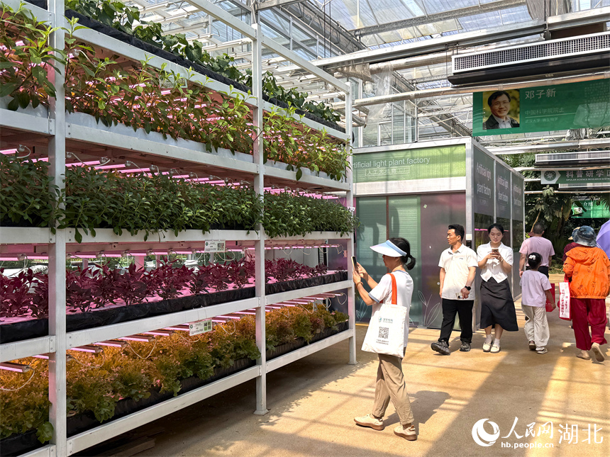 在室內展區，市民游客正在參觀人工光植物工廠。人民網記者 周恬攝